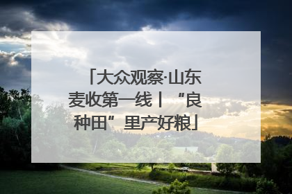 大众观察·山东麦收第一线丨“良种田”里产好粮