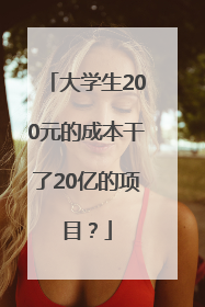 大学生200元的成本干了20亿的项目？