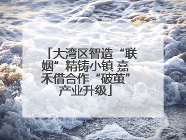 大湾区智造“联姻”精铸小镇 嘉禾借合作“破茧”产业升级