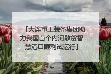 大连重工装备集团助力我国首个内河散货智慧港口顺利试运行