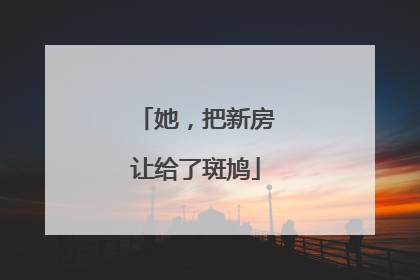 她，把新房让给了斑鸠