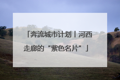奔流城市计划丨河西走廊的“紫色名片”