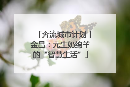奔流城市计划丨金昌：元生奶绵羊的“智慧生活”