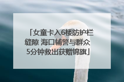 女童卡入6楼防护栏缝隙 海口辅警与群众5分钟救出获赠锦旗