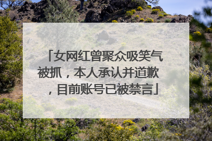 女网红曾聚众吸笑气被抓，本人承认并道歉，目前账号已被禁言