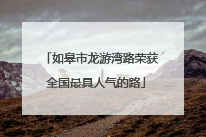 如皋市龙游湾路荣获全国最具人气的路