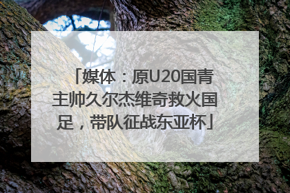 媒体：原U20国青主帅久尔杰维奇救火国足，带队征战东亚杯