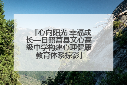 心向阳光 幸福成长—日照莒县文心高级中学构建心理健康教育体系掠影