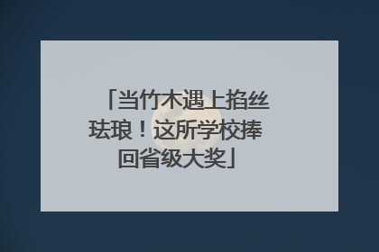 当竹木遇上掐丝珐琅！这所学校捧回省级大奖