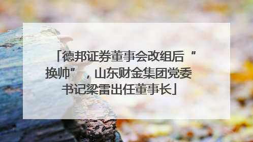 德邦证券董事会改组后“换帅”，山东财金集团党委书记梁雷出任董事长