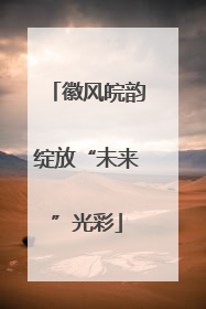 徽风皖韵绽放“未来”光彩