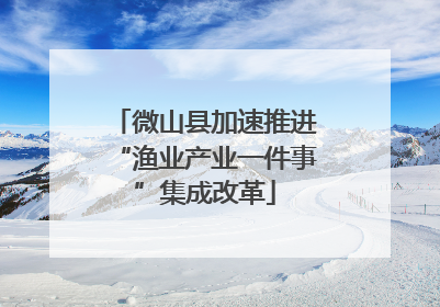 微山县加速推进“渔业产业一件事”集成改革