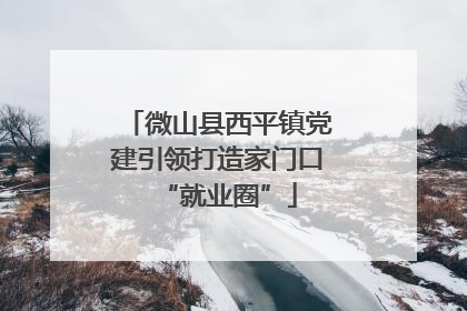 微山县西平镇党建引领打造家门口“就业圈”