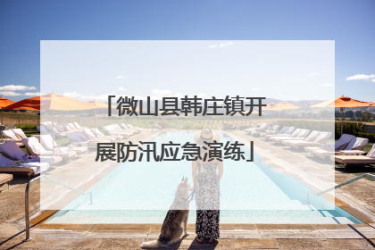 微山县韩庄镇开展防汛应急演练