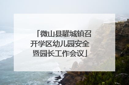 微山县驩城镇召开学区幼儿园安全暨园长工作会议