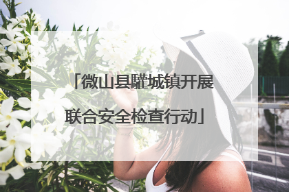 微山县驩城镇开展联合安全检查行动