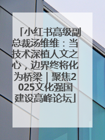 小红书高级副总裁汤维维：当技术深植人文之心，边界终将化为桥梁｜聚焦2025文化强国建设高峰论坛