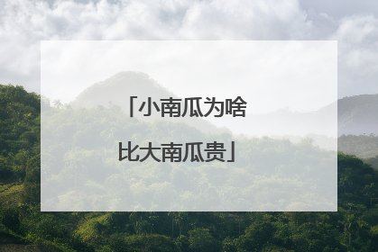 小南瓜为啥比大南瓜贵