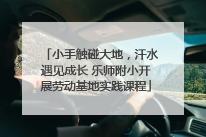 小手触碰大地，汗水遇见成长 乐师附小开展劳动基地实践课程