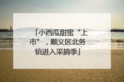 小西瓜甜蜜“上市”，顺义区北务镇进入采摘季