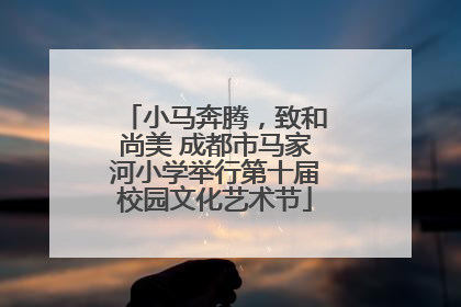 小马奔腾，致和尚美 成都市马家河小学举行第十届校园文化艺术节