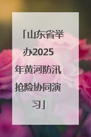 山东省举办2025年黄河防汛抢险协同演习