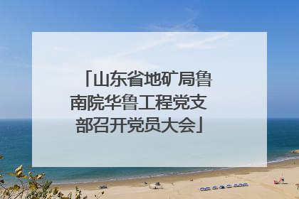 山东省地矿局鲁南院华鲁工程党支部召开党员大会