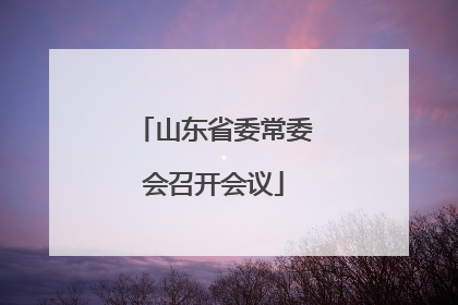 山东省委常委会召开会议
