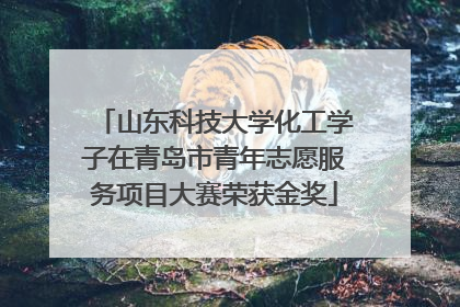 山东科技大学化工学子在青岛市青年志愿服务项目大赛荣获金奖