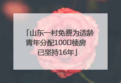 山东一村免费为适龄青年分配100㎡楼房 已坚持16年