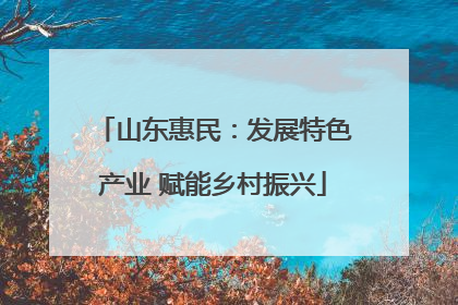 山东惠民：发展特色产业 赋能乡村振兴