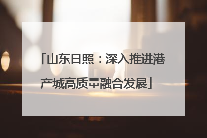 山东日照：深入推进港产城高质量融合发展