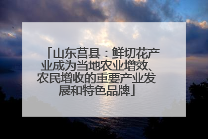 山东莒县：鲜切花产业成为当地农业增效、农民增收的重要产业发展和特色品牌