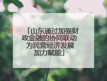 山东通过加强财政金融的协同联动 为民营经济发展加力赋能