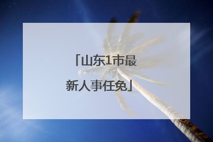 山东1市最新人事任免