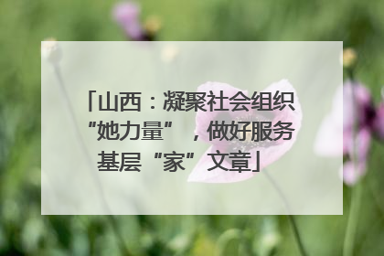 山西：凝聚社会组织“她力量”，做好服务基层“家”文章