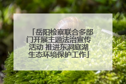 岳阳检察联合多部门开展主题法治宣传活动 推进东洞庭湖生态环境保护工作
