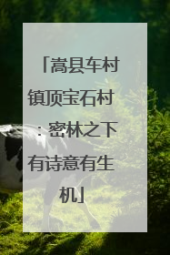 嵩县车村镇顶宝石村：密林之下有诗意有生机
