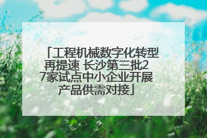 工程机械数字化转型再提速 长沙第三批27家试点中小企业开展产品供需对接