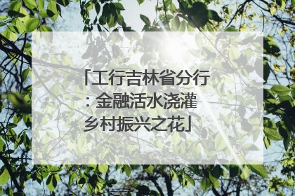 工行吉林省分行：金融活水浇灌 乡村振兴之花