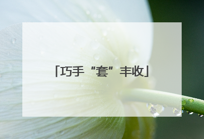 巧手“套”丰收