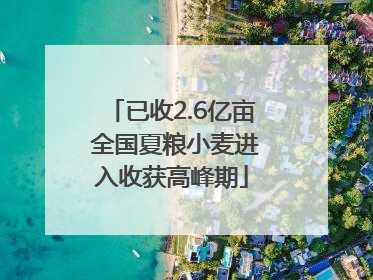 已收2.6亿亩 全国夏粮小麦进入收获高峰期