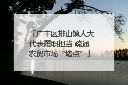 广丰区排山镇人大代表履职担当 疏通农贸市场“堵点”