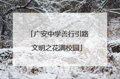 广安中学善行引路 文明之花满校园