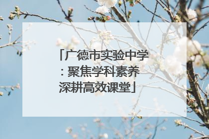 广德市实验中学：聚焦学科素养 深耕高效课堂
