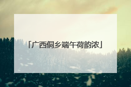 广西侗乡端午荷韵浓