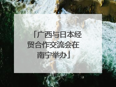 广西与日本经贸合作交流会在南宁举办