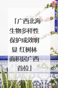 广西北海生物多样性保护成效明显 红树林面积居广西首位