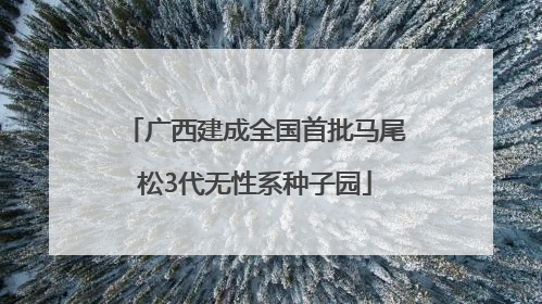 广西建成全国首批马尾松3代无性系种子园