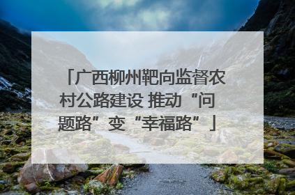 广西柳州靶向监督农村公路建设 推动“问题路”变“幸福路”